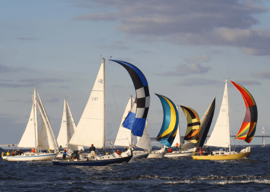 Frame 1618873797 (2) Sailing Race Viewing - Newport Yacht Charters